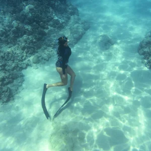 Manglares + Snorkel (Ecosistema Dual)